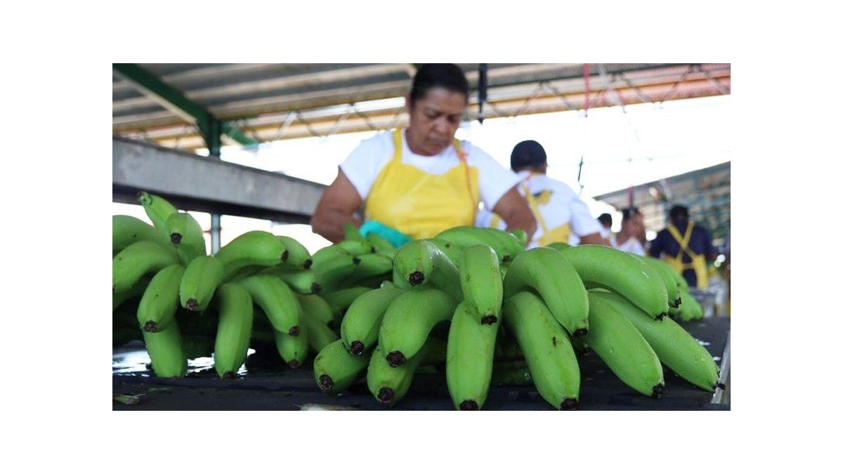 Panamá aumenta en un 8.9 las exportaciones