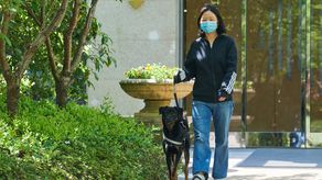 La tenencia de mascotas se ha disparado en los últimos años en China, sobre todo en centros cosmopolitas como Shanghái.