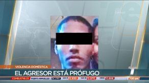 Mujer lucha por su vida tras ser víctima de violencia doméstica