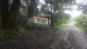 MiAmbiente instó a la población a seguir las recomendaciones de prevención emitidas por el Sinaproc e informarse a través de cuentas oficiales. MiAmbiente instó a la población a seguir las recomendaciones de prevención emitidas por el Sinaproc e informarse a través de cuentas oficiales.