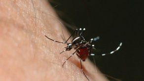 En San Miguelito hay 800 casos sospechosos de dengue