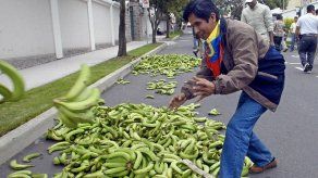 La FAO recomienda desarrollar el turismo y el cultivo de frutas en Colombia