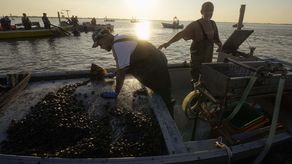 La cantidad de agua que fluye al delta desde el Po es más baja que nunca, de apenas 95 metros cúbicos (3.350 pies cúbicos) por segundo el mes pasado, debido a la falta del manto de nieve invernal y las lluvias de primavera y verano.