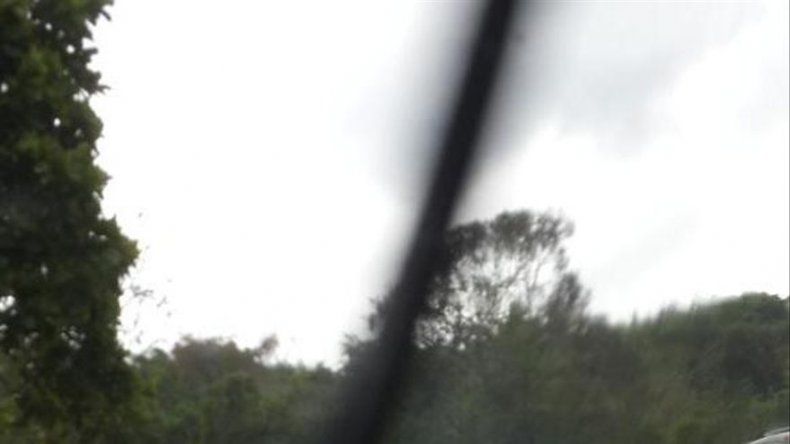 Caída de árboles e inundaciones producto de las lluvias