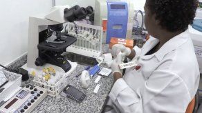 Brasil repartirá repelentes a embarazadas para prevenir virus del Zika