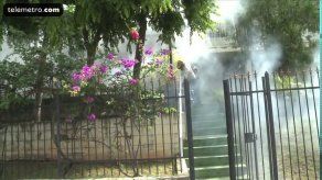 Betania con alto índice de infestación del mosquito Aedes Aegypti