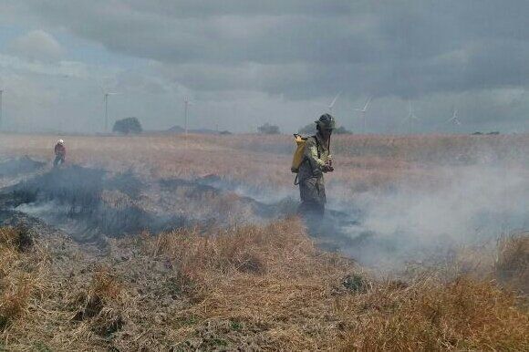 Bomberos atienden incendio cerca del Parque Eólico de Penonomé