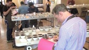 Este jueves subastarán el mejor café producido en Chiriquí