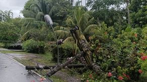 Naturgy Panamá informa caída de poste de luz en Veraguas.