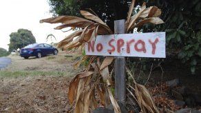 El virus del zika plantea serios desafíos a Hawai