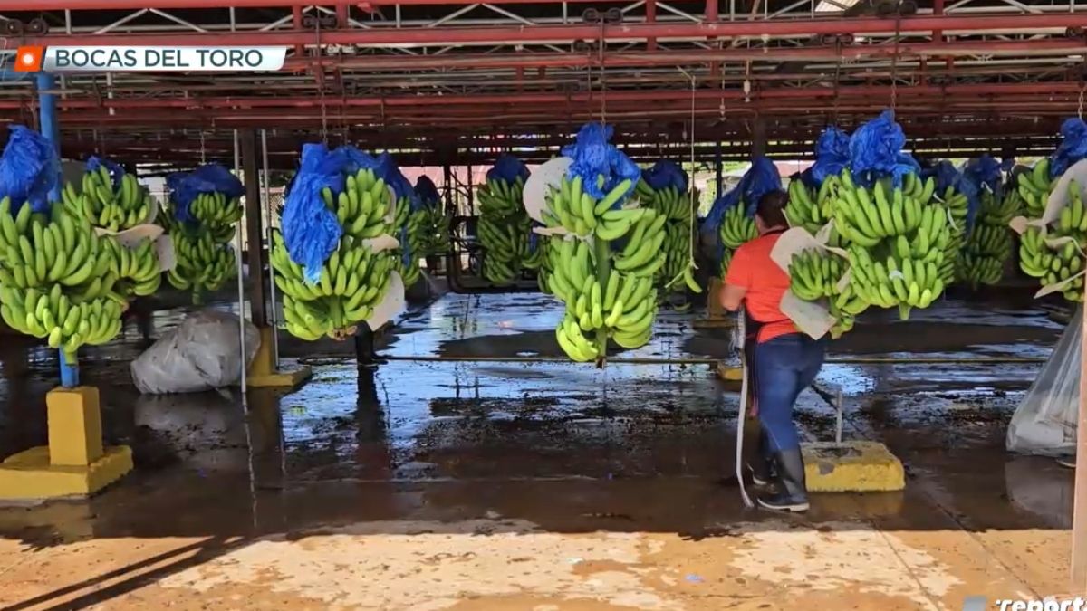 Empresa Chiquita Panamá. Empresa Chiquita Panamá.