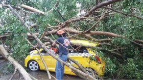 Sinaproc registra sólo daños materiales luego del aguacero