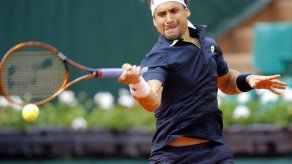 David Ferrer y Steve Johnson lucharán por el título