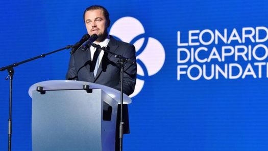 Actor Leonardo DiCaprio.