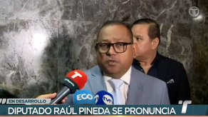 Diputado Raúl Pineda.