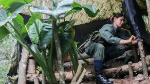 Costa Rica devuelve a Colombia 480.000 dólares incautados a las FARC