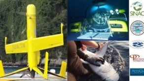 Drones militares reconvertidos protegen tortugas y tiburones en Costa Rica