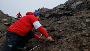 Científicos chilenos identifican desconocidas bacterias híper resistentes en la Antártida