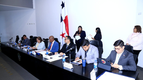 Comisión de Educación, Cultura y Deportes.