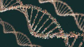 Conceden 1ra licencia para bebés con ADN de tres padres