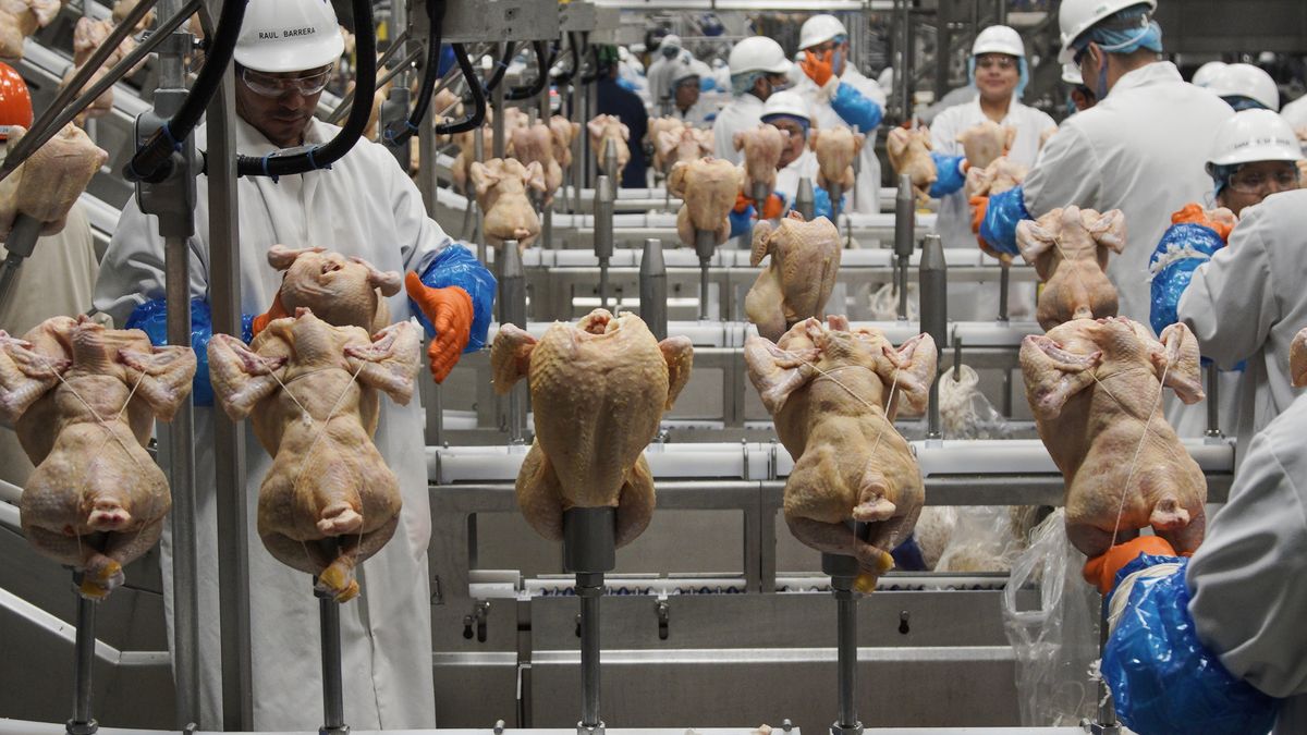 Los CDC dicen que aproximadamente uno de cada 25 paquetes de pollo vendidos en supermercados contiene dicha bacteria de la salmonella.