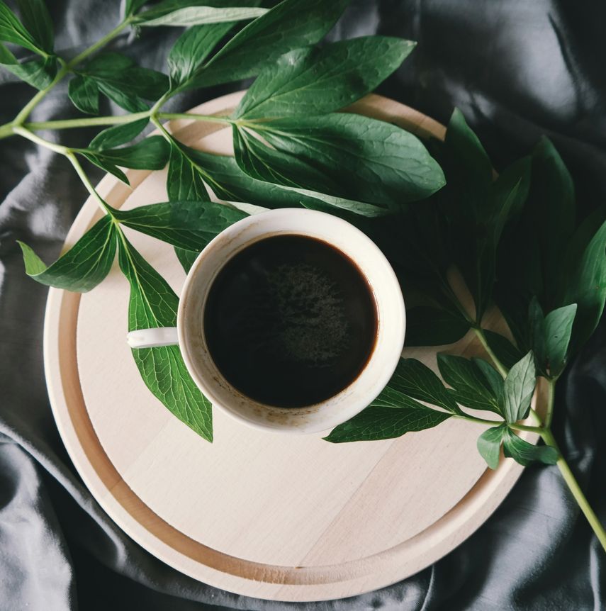 Las 5 especias que le puedes poner al café y que te ofrecen múltiples beneficios para tu salud.