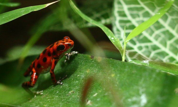 Centro de Exhibiciones Marinas de Punta Culebra