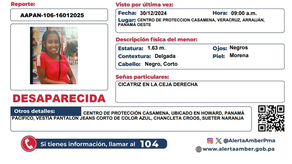 Activan Alerta Amber por la desaparición