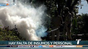 Casos de dengue se cuadruplican en Colón este año