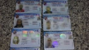 Tipos licencia de conducir Tipos licencia de conducir