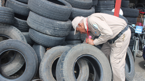 MINSA reporta más de 31,600 casos de dengue