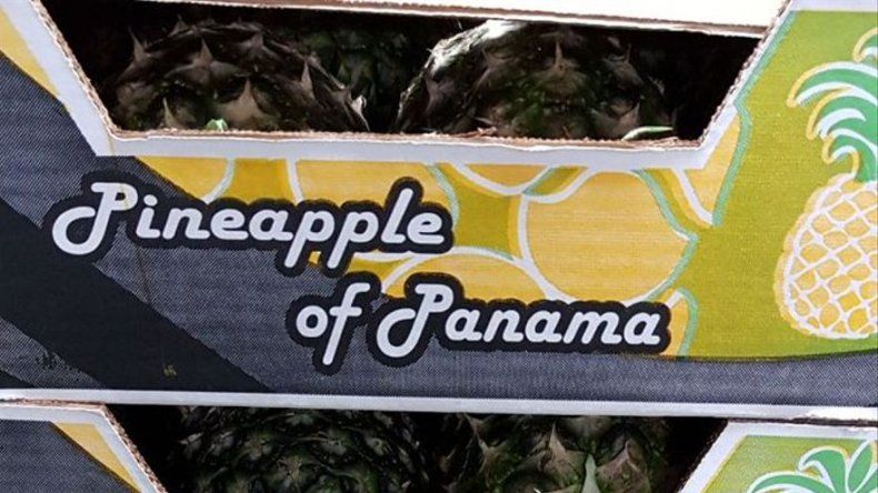Unas 1600 cajas de piña son enviadas a Suiza bajo el sello Panamá Exporta