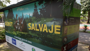 Alcaldía de Panamá anuncia jornada de reciclaje.