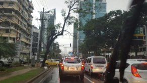 Este lunes inicia consulta pública para humanización urbana de Calle Uruguay