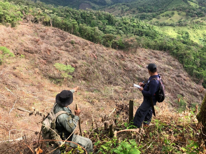 MiAmbiente en la Reserva Forestal de El Montoso