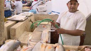 Realizan operativo de salud en el Mercado del Marisco