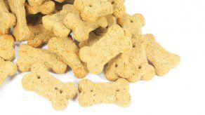 Asistente escolar da galletas de perro a niños