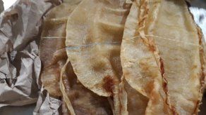 Decomisan 271 buches de pez totoaba en México
