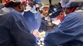 La operación se llevó a cabo el viernes y demostró por primera vez que el corazón de un animal puede seguir latiendo en un ser humano sin un rechazo.