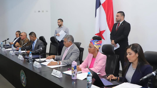 Diputados de la Coalición Vamos