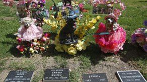 Diversas opciones para restos de mascotas en EEUU