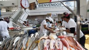 La Alcaldía de Panamá continúa programa de capacitación para manipuladores en el Mercado de Mariscos.
