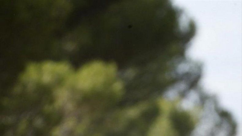 Valverde asegura que la medalla de bronce le deja buen sabor de boca
