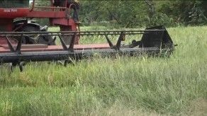 Productores de arroz advierten de posible protesta en solicitud de compensación Productores de arroz advierten de posible protesta en solicitud de compensación