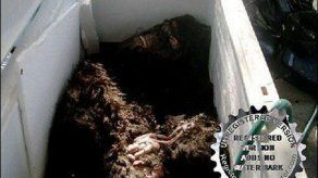 Presunto hallazgo Pie Grande resultó un engaño