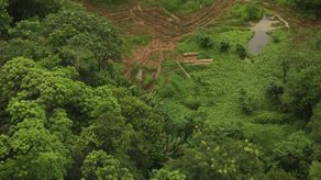 MiAmbiente suspende temporalmente permisos forestales en comarcas Emberá Wounaan y Wargandí. MiAmbiente suspende temporalmente permisos forestales en comarcas Emberá Wounaan y Wargandí.