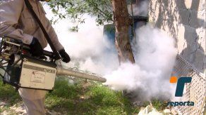 Preocupación por aumento de casos de dengue en San Miguelito
