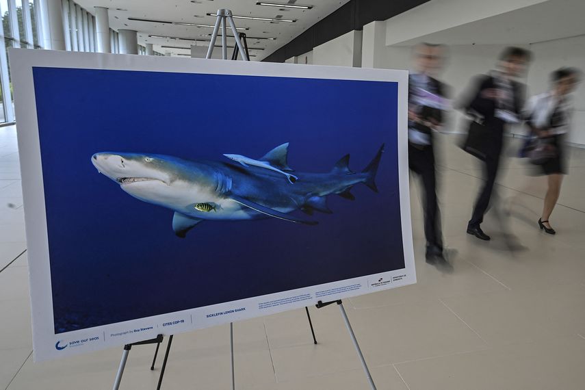 La COP19 se desarrolla en Panamá.