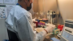 El sistema de salud sigue trabajando para detectar más casos a través de las pruebas de COVID-19.