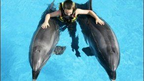 Delfines gordos a dieta en acuario de Japón